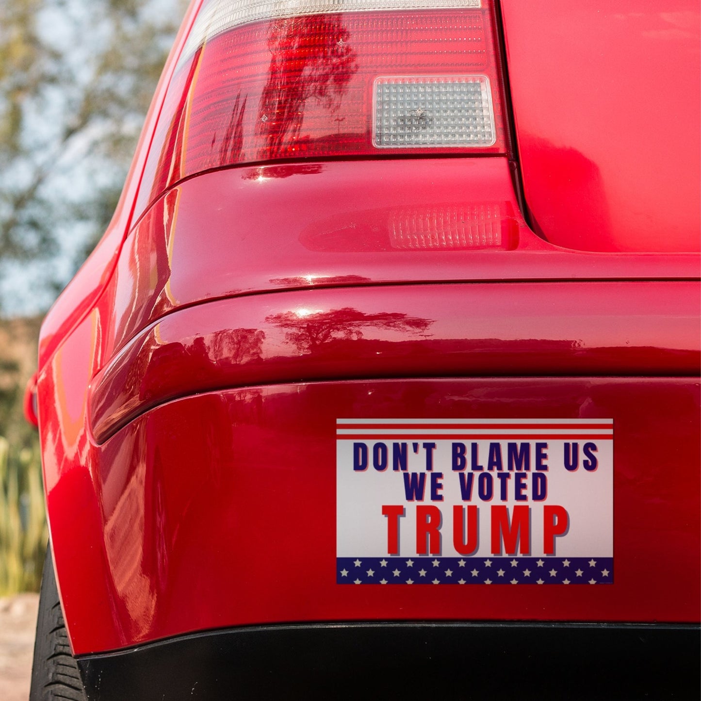 Don't Blame Us We Voted Trump Window Sticker Decals