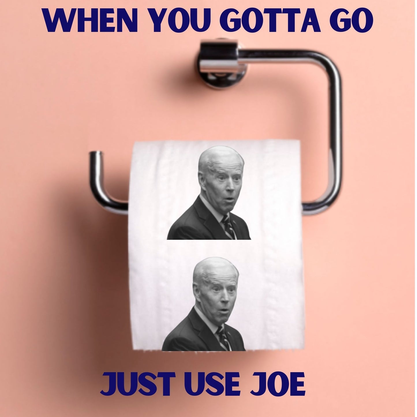 Sleepy Joe Biden Toilet Paper Rolls | 2-Pack